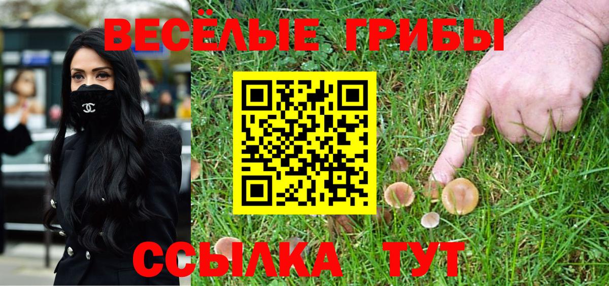 Клинцы  Галлюциногенные грибы GOLDEN TEACHER  Вход с VPN 