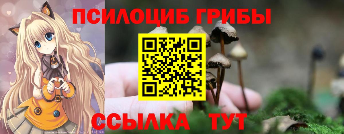 Галлюциногенные грибы мицелий Клинцы
